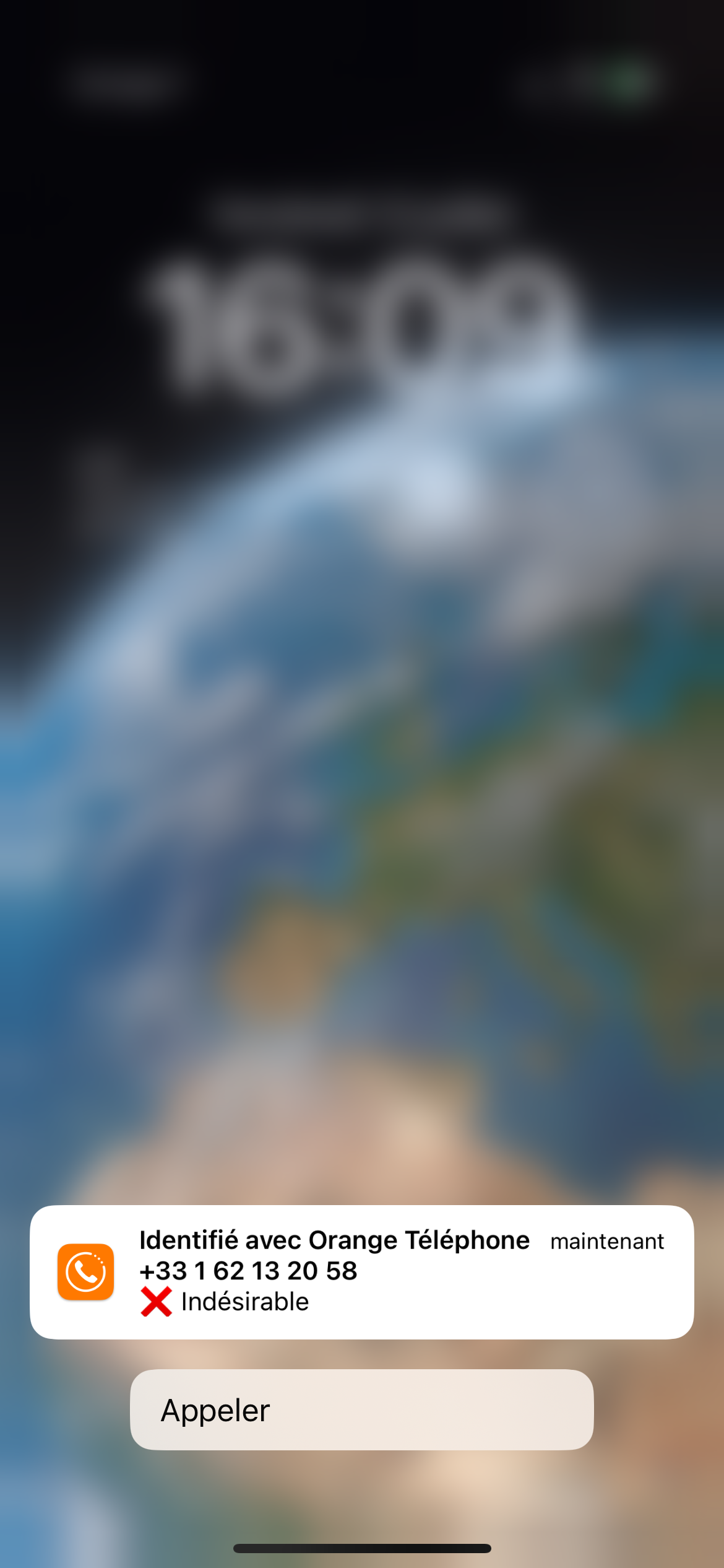 IMG_0293.PNG